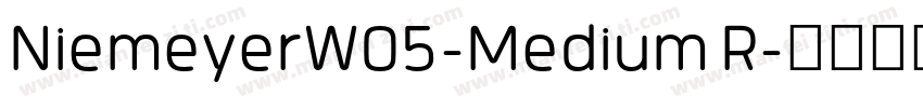 NiemeyerW05-Medium R字体转换
